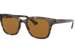 4323 - HAVANA | BROWN - POLARIZED