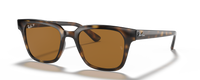 HAVANA | BROWN | POLARIZED