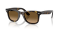 HAVANA | BROWN GRADIENT | POLARIZED