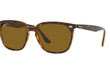 4362 - HAVANA | BROWN - POLARIZED