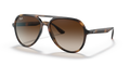 HAVANA | GRADIENT BROWN | NON-POLARIZED