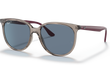 4378 - TRANSPARENT GREY | PURPLE TEMPLES | DARK BLUE | POLARIZED