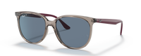 TRANSPARENT GREY | PURPLE TEMPLES | DARK BLUE | POLARIZED