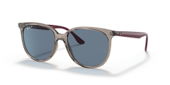 TRANSPARENT GREY | PURPLE TEMPLES | DARK BLUE | POLARIZED