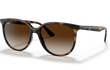 4378 - HAVANA | GRADIENT BROWN | NON-POLARIZED
