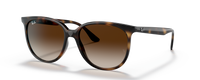 HAVANA | GRADIENT BROWN | NON-POLARIZED
