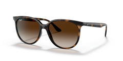 HAVANA | GRADIENT BROWN | NON-POLARIZED