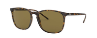HAVANA | BROWN