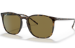 4387 - HAVANA | BROWN | NON-POLARIZED