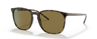 HAVANA | BROWN | NON-POLARIZED