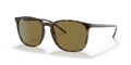 HAVANA | BROWN | NON-POLARIZED