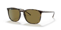 HAVANA | BROWN | NON-POLARIZED