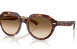GINA - LIGHT HAVANA  |  BROWN | NON-POLARIZED