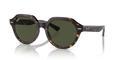 POLISHED HAVANA | GREEN | NON-POLARIZED