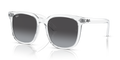 TRANSPARENT | GRADIENT GREY | NON-POLARIZED