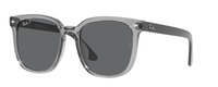 TRANSPARENT GREY | DARK GREY - POLARIZED