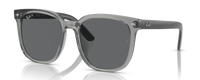 TRANSPARENT GREY | DARK GREY | POLARIZED