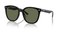 BLACK | DARK GREEN | POLARIZED