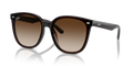 TRANSPARENT BROWN | GRADIENT BROWN | NON-POLARIZED