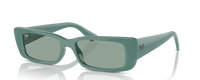 ALGAE GREEN | GREEN | NON-POLARIZED
