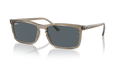 BROWN | BLUE | NON-POLARIZED