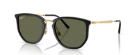 4451 | 630658 | POLARIZED