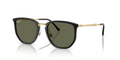 4451 | 630658 | POLARIZED