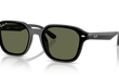 4458D - 4458D | 601/9A | POLARIZED
