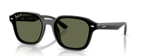 4458D | 601/9A | POLARIZED