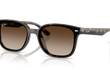 4461D - 4461D | 710/13 | NON POLARIZED
