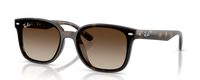 4461D | 710/13 | NON POLARIZED