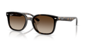 4461D | 710/13 | NON POLARIZED