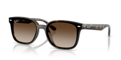 4461D | 710/13 | NON POLARIZED