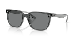 TRANSPARENT GREY | DARK GREY | NON-POLARIZED