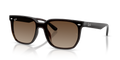 TRANSPARENT DARK BROWN | BROWN GRADIENT | NON-POLARIZED