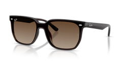TRANSPARENT DARK BROWN | BROWN GRADIENT | NON-POLARIZED