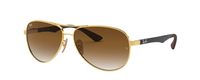 GOLD | GRADIENT BROWN