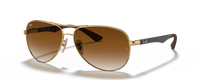 GOLD | GRADIENT BROWN | NON-POLARIZED