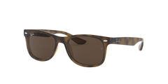 HAVANA | DARK BROWN