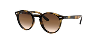 HAVANA | GRADIENT BROWN | DARK BROWN