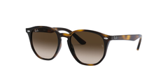 HAVANA | GRADIENT BROWN | DARK BROWN