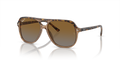 HAVANA | TRANSPARENT BROWN | BROWN | GREY | POLARIZED