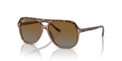 HAVANA | TRANSPARENT BROWN | BROWN | GREY | POLARIZED