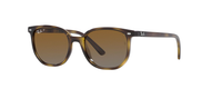 HAVANA | BROWN - POLARIZED