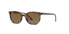 HAVANA | BROWN - POLARIZED