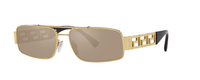 GOLD | LIGHT BROWN MIRROR | DARK GOLD - POLARIZED