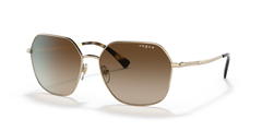 GOLD | BROWN | NON-POLARIZED