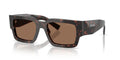ROOT TORTOISE | DARK BROWN | NON-POLARIZED