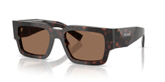 ROOT TORTOISE | DARK BROWN | NON-POLARIZED
