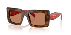 JUNIPER TORTOISE/COTTO | BROWN | NON-POLARIZED